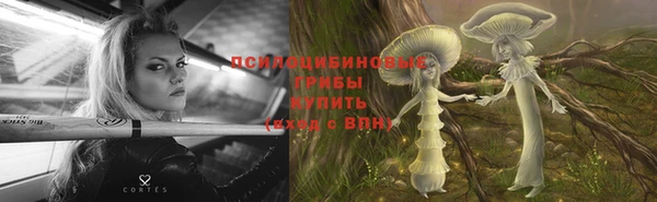 ПСИЛОЦИБИНОВЫЕ ГРИБЫ Медвежьегорск