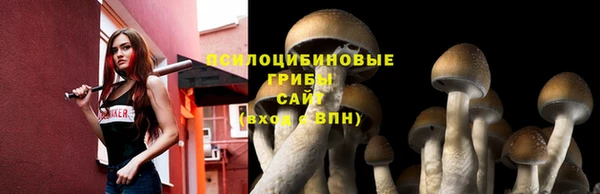 ALPHA-PVP Мегион