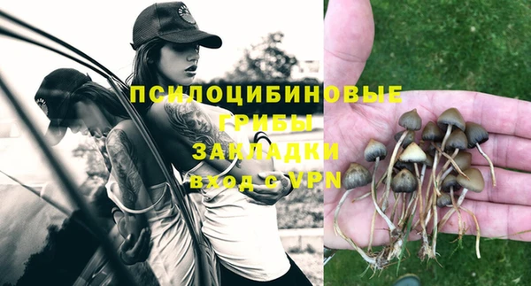 МДПВ Медногорск