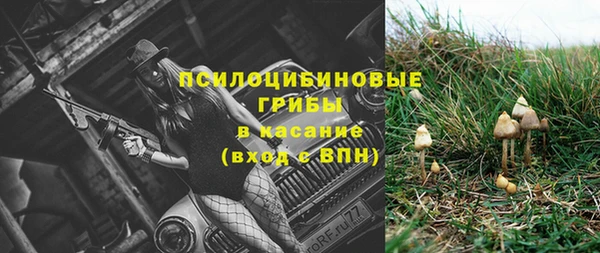 ПСИЛОЦИБИНОВЫЕ ГРИБЫ Медвежьегорск