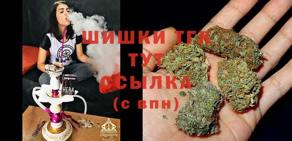 МДПВ Медногорск
