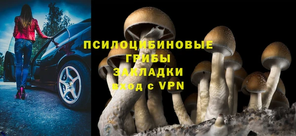 ALPHA-PVP Мегион