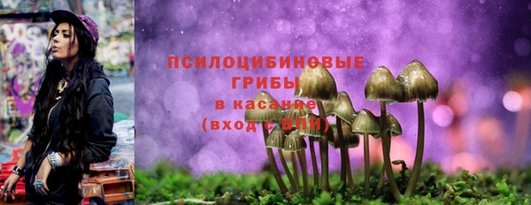 ALPHA-PVP Мегион
