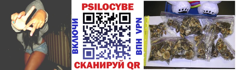 как найти Чудово blacksprut как зайти Галлюциногенные грибы мухоморы