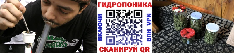 купить   МЕГА ССЫЛКА  Марихуана OG Kush  Чудово 